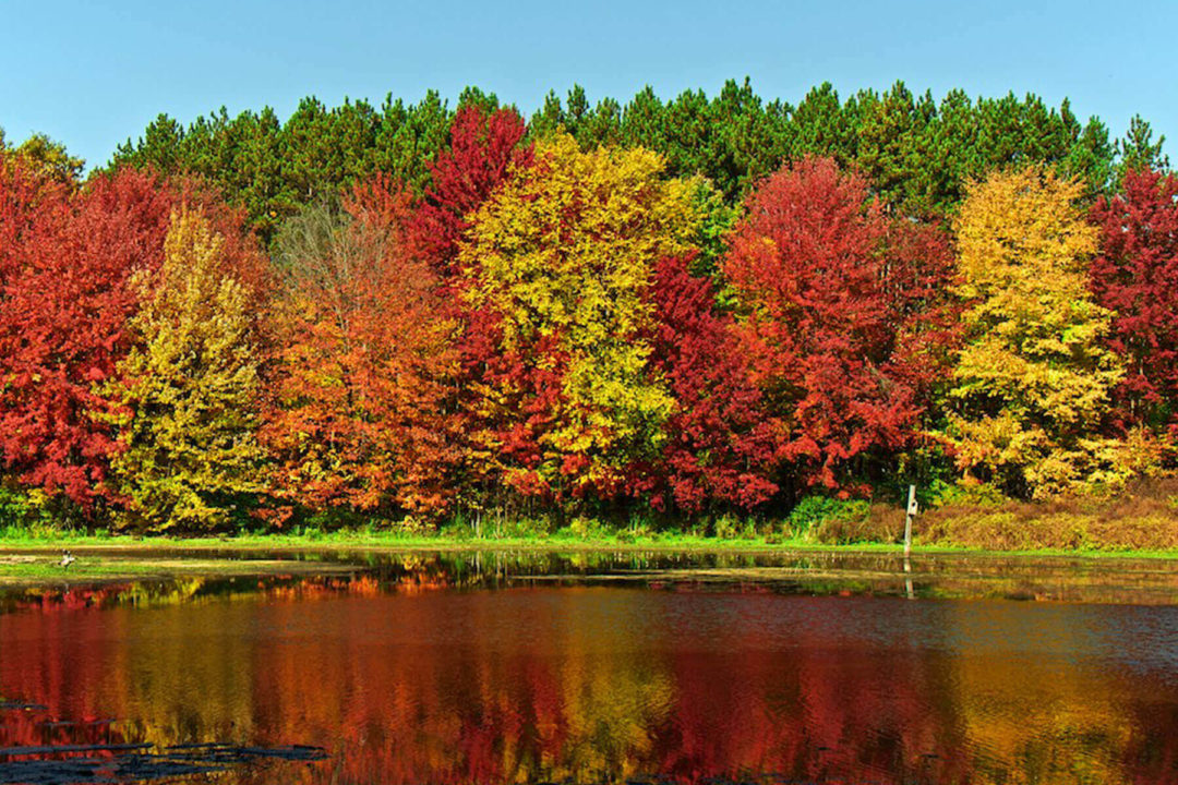 Michigan