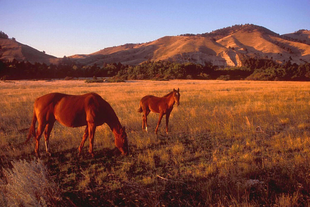 Wyoming