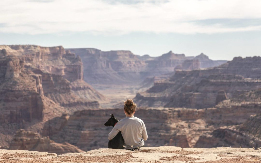 5 Reasons Arizona Should be Your Next Travel Nursing Destination