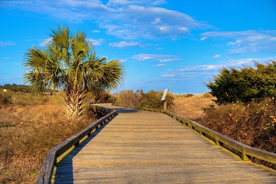 5 Reasons Travel Nurses Should Sign a Contract in South Carolina